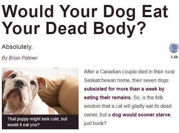 狗真的会吃掉主人吗？流言终结