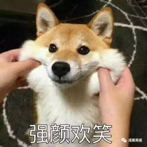 垃圾短信“回T退订”?别天真了!代发平台:回几百遍也没用