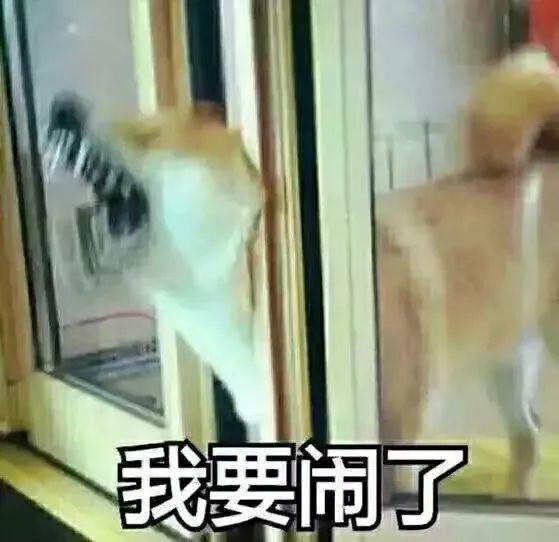 垃圾短信“回T退订”?别天真了!代发平台:回几百遍也没用