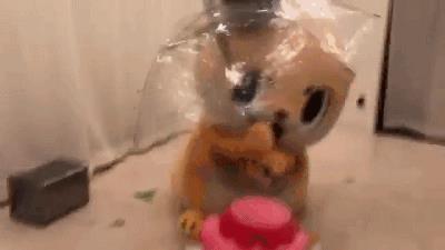 这个日本吉祥物遭官方封杀!却因为一段暴力视频在海外火了!