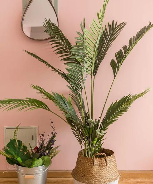 房东花8000元爆改自己出租屋,完工后租金翻倍不嫌贵,晒晒