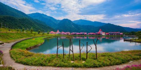 感情中大道理懂得挺多，遇到问题还“一窍不通”的3个生肖