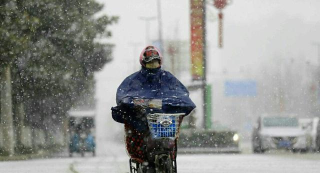 好看！河南网友冒雪拍摄下雪美景