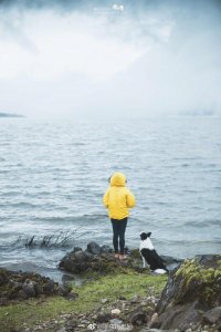 ​“我们去大草原大湖边，等候鸟飞回来” @宠物摄影师瘦子费