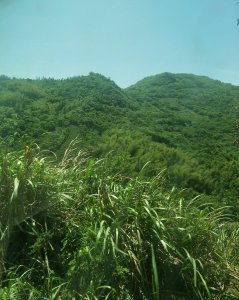 ​河南省 信阳市 西九华山风景区