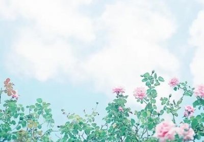 ​送妈妈梳子刻字刻什么好吉祥送妈妈梳子刻字如何让礼物更加有意义