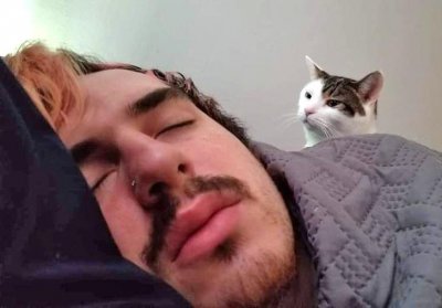 ​18张猫咪搞笑图片，像不像你和你家猫“相爱相杀”的日常，扎心了