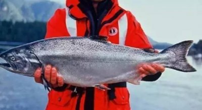​地球上顶级的8种海鲜，其中1种来自中国东海