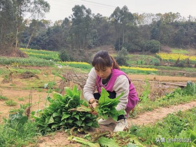 ​探秘蜀中桃子姐和她的“乡村姐妹团”