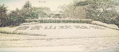 ​广州下雪了，深圳也下雪了