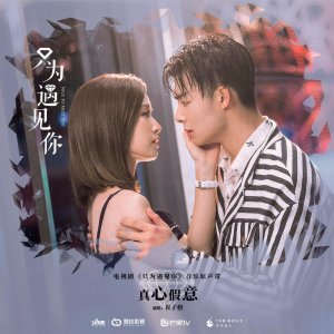 ​崔子格 - 真心假意只为遇见你电视剧插曲