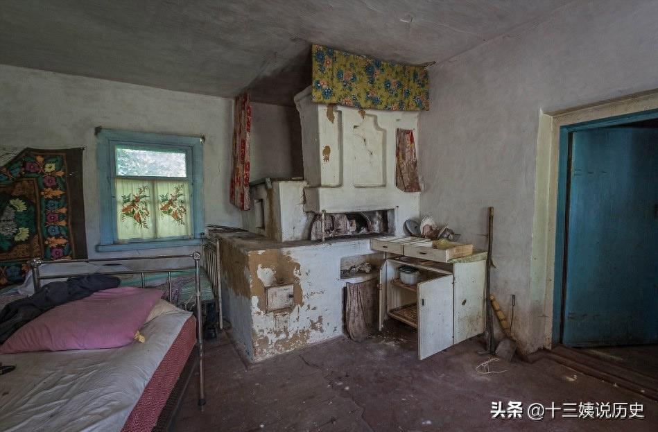 切尔诺贝利核泄漏30年后的场景:成为鬼城,图8动物基因发生突变