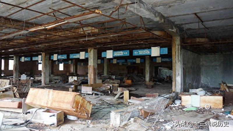 切尔诺贝利核泄漏30年后的场景:成为鬼城,图8动物基因发生突变