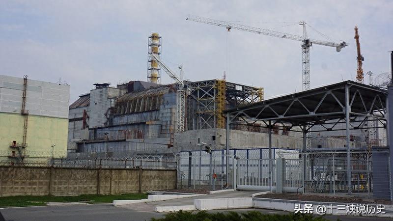 切尔诺贝利核泄漏30年后的场景:成为鬼城,图8动物基因发生突变