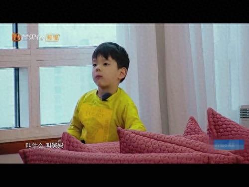 基因强大!“小嗯哼”身份揭秘,原来是嗯哼的亲表弟