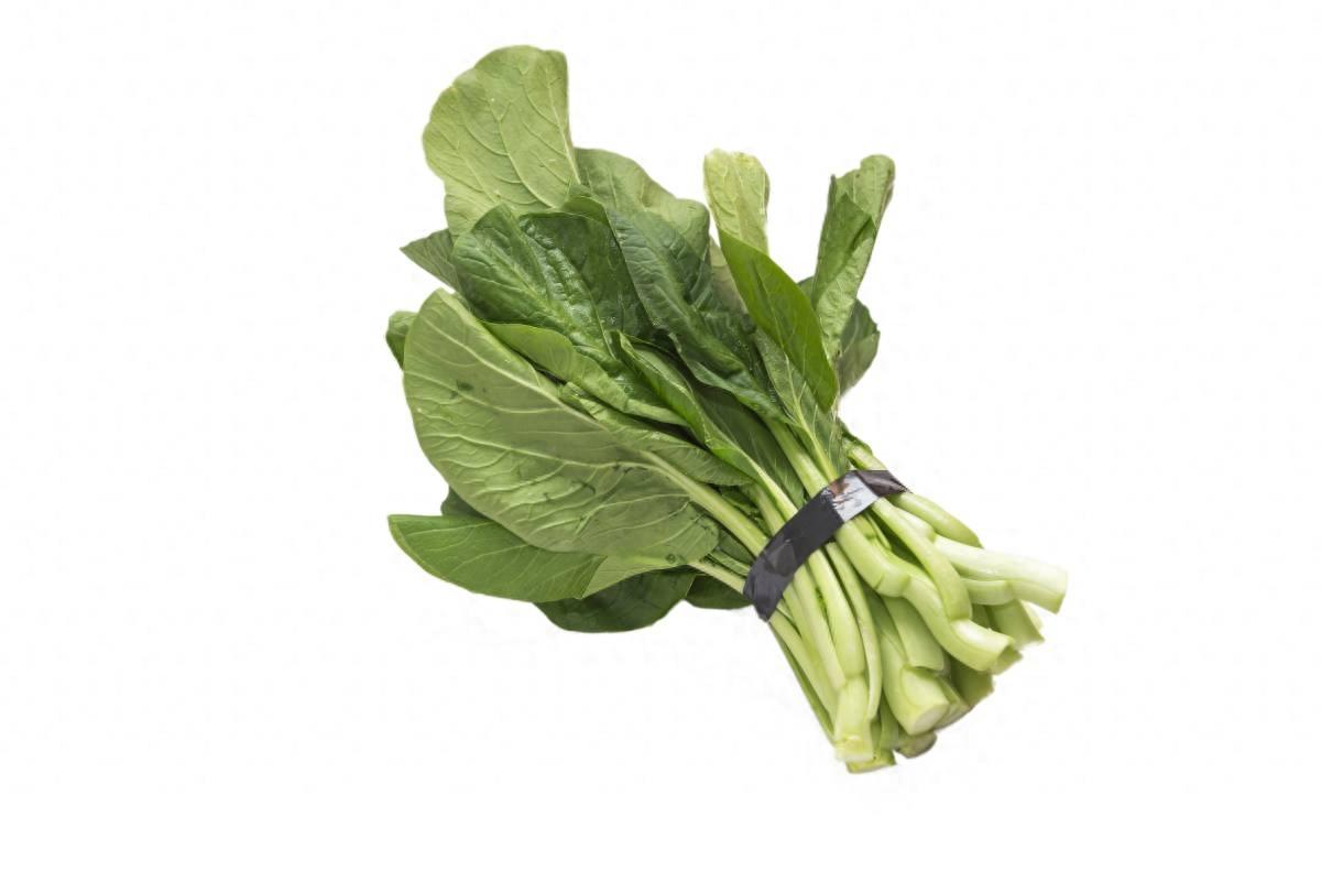 各种各样青菜的真名你知道吗？