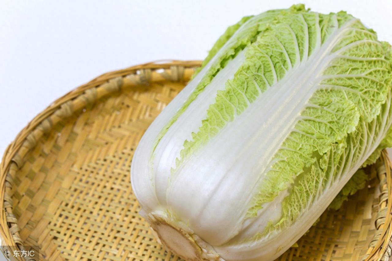 各种各样青菜的真名你知道吗？