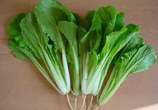 各种各样青菜的真名你知道吗？
