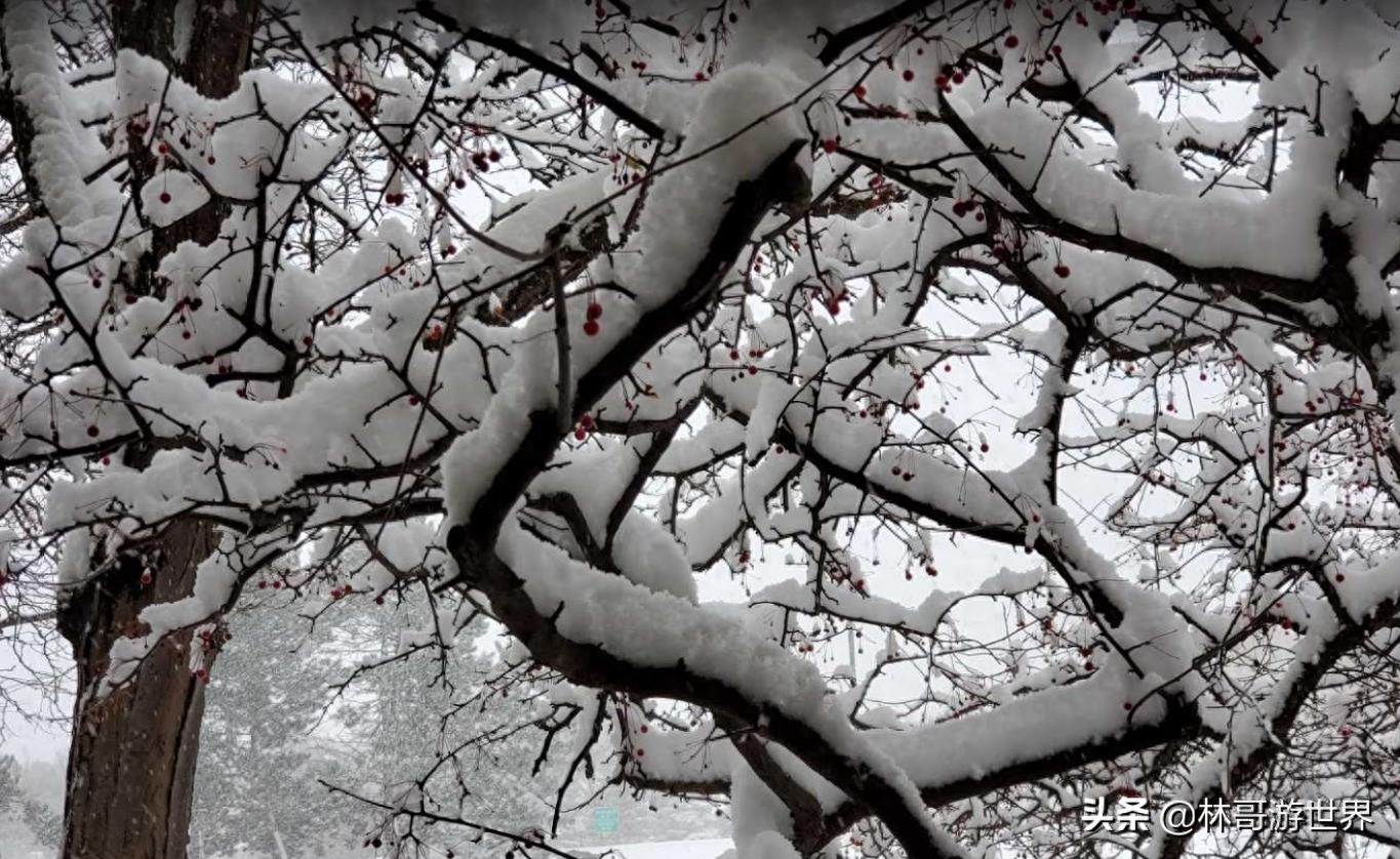 世界风光：美国-密歇根州-底特律