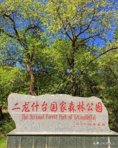 ​观光、野营、避暑，内蒙古乌兰察布市-二龙什台国家森林公园