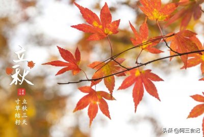​老话说：“立秋到，贴秋膘”，记得多吃5种美食，滋养身体精神佳