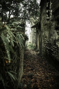 ​我国最恐怖的无人村，广东省邓边村阴风阵阵(没有人敢进)