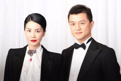 ​王菲离婚原因，谢霆锋王菲宣布结婚(王菲是不是因为谢霆锋离的婚)
