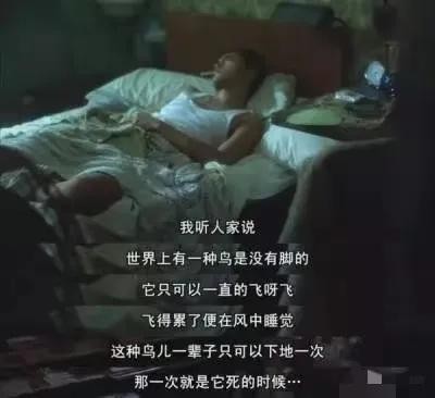 张国荣去世当时是如何报道的（张国荣逝世19周年祭）(10)
