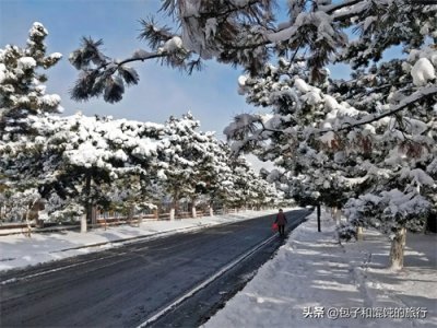 ​山东威海大雪来袭，冬天是否宜居，北京人说出真实感受