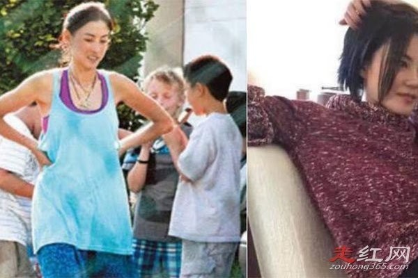 张柏芝和谢霆锋最新消息复婚了吗 和王菲的恋情变得很坚定