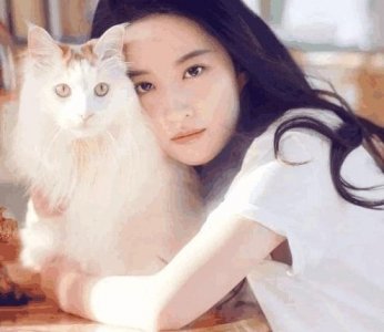 ​娱乐圈一线女星, 如今单身却是一个猫奴, 曾收养了十几只流浪猫!