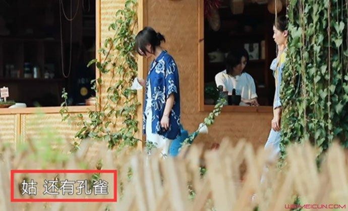 周迅张婧仪真实关系揭秘张婧仪为什么叫周迅姑姑？两人是亲戚吗