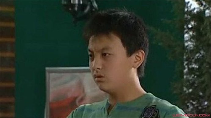 牛骏峰家有儿女演的谁