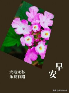 ​10张今日最新版早上好表情图片大全，每天牵挂你，生活更美满！