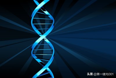 ​生物密码——DNA，DNA双螺旋结构及其特征