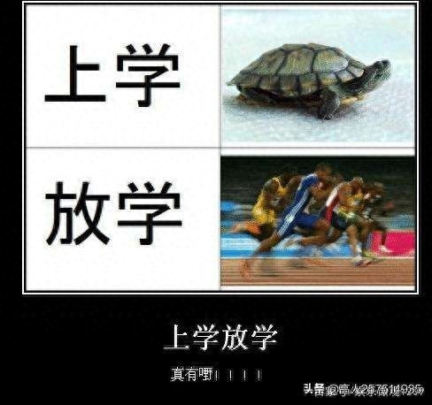 你变了,不爱充钱了,感受被我马化腾支配的恐惧吧。 (表情包集)