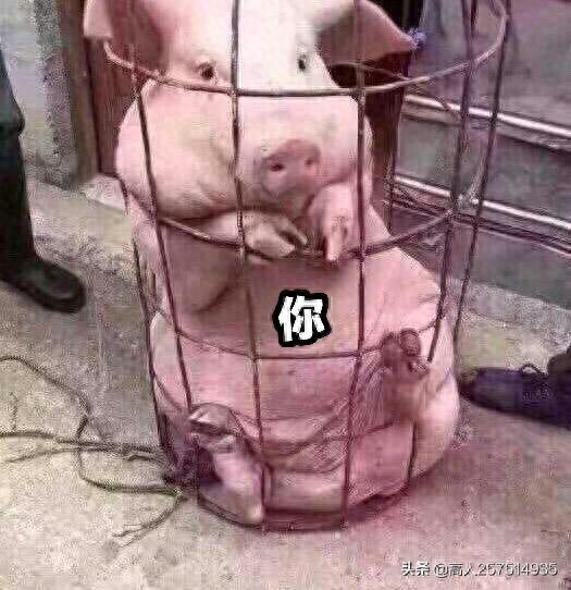 你变了,不爱充钱了,感受被我马化腾支配的恐惧吧。 (表情包集)