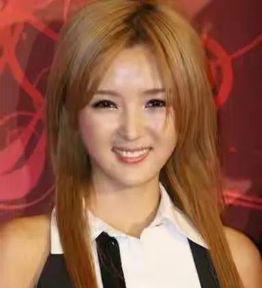 隆胸的明星有哪些（公开承认整形隆胸的十位女明星）