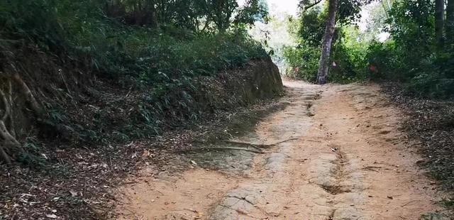 陈伟霆喜欢赵丽颖吗（赵丽颖陈伟霆同框梦回老九门）