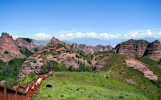 青海湖旅游攻略 青海湖必打卡的景点推荐