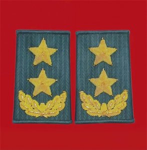 ​漏计！还有6位中将逝世，共计14位中将逝世