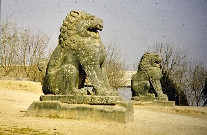 80年代乾陵：专家称地宫至少有500吨文物，郭沫若提议发掘被否决