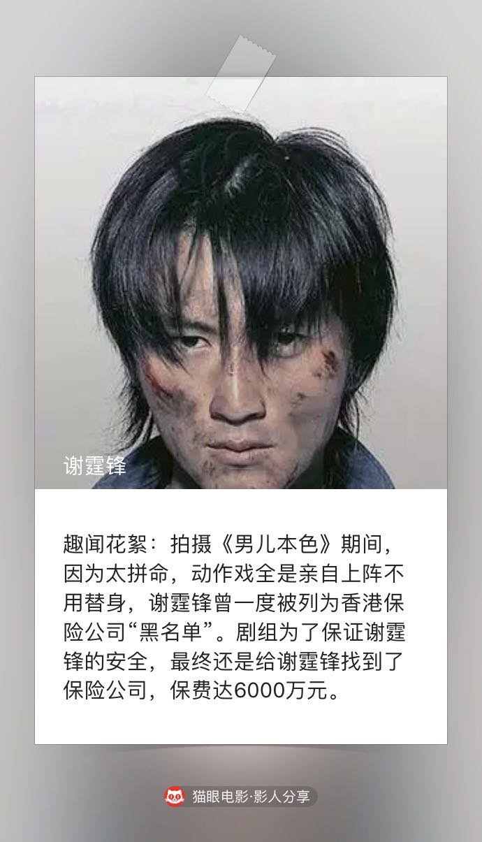 谢霆锋和张柏芝为什么离婚(谢霆锋和张柏芝离婚时间) 谢霆锋 张柏芝 第6张