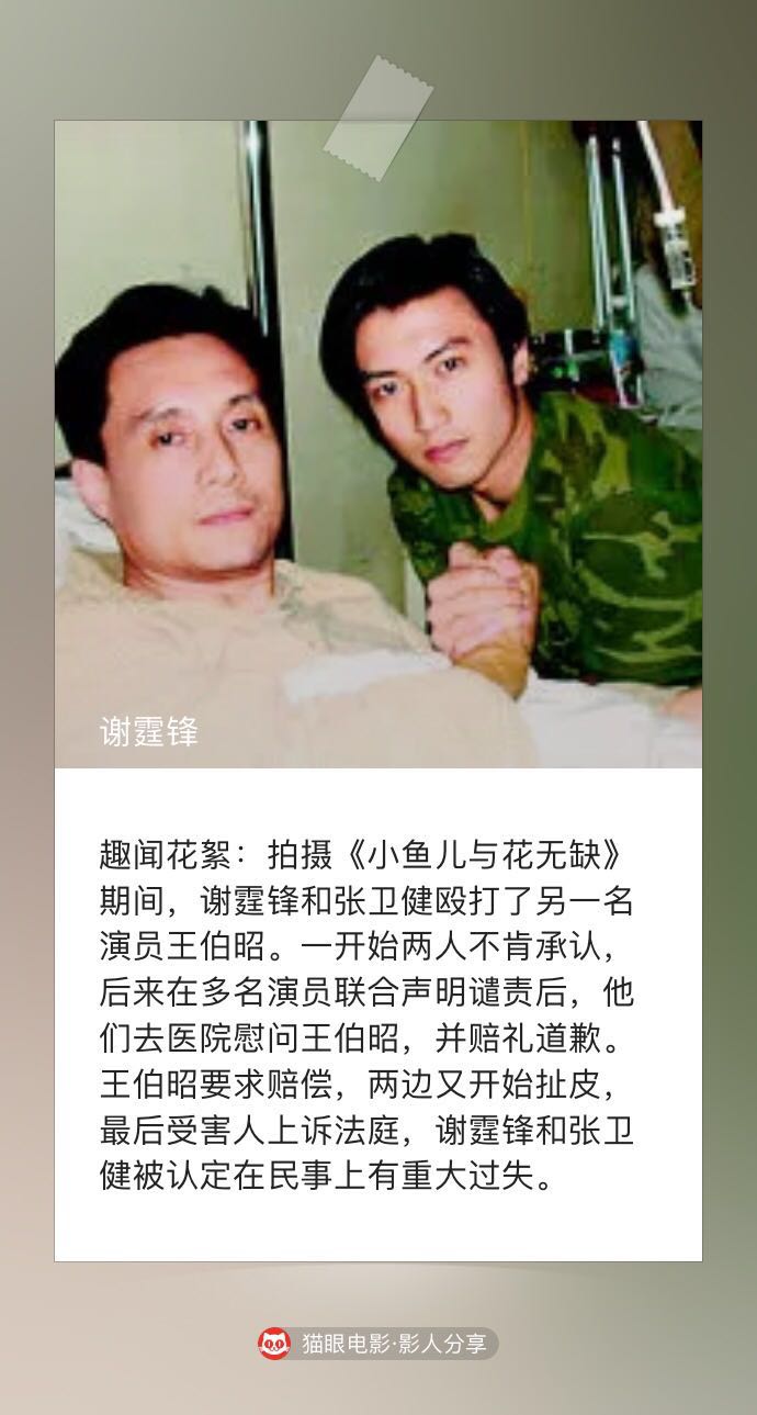 谢霆锋和张柏芝为什么离婚(谢霆锋和张柏芝离婚时间) 谢霆锋 张柏芝 第5张