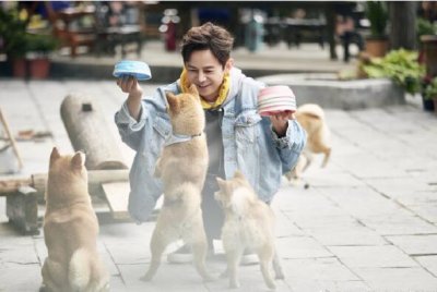 ​锅碗瓢盆什么梗