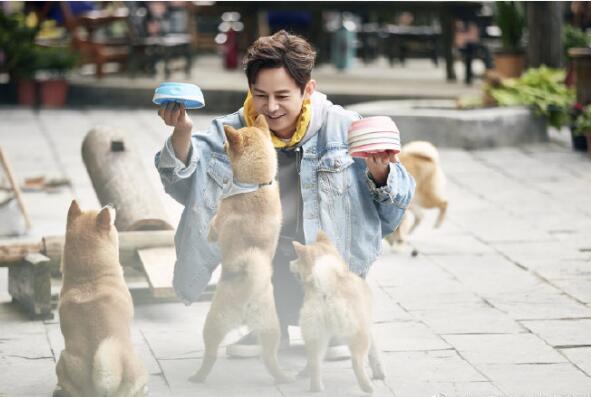 锅碗瓢盆什么梗