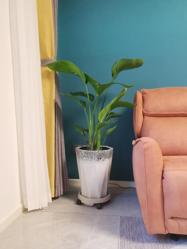 日本十大经典家居用品设计(9种小巧思家居品)(1)