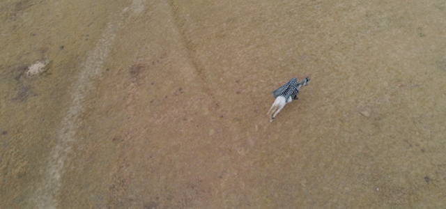 惠州博罗县十大旅游景点排名榜单(博罗这些地方入选旅游特色村)(29)