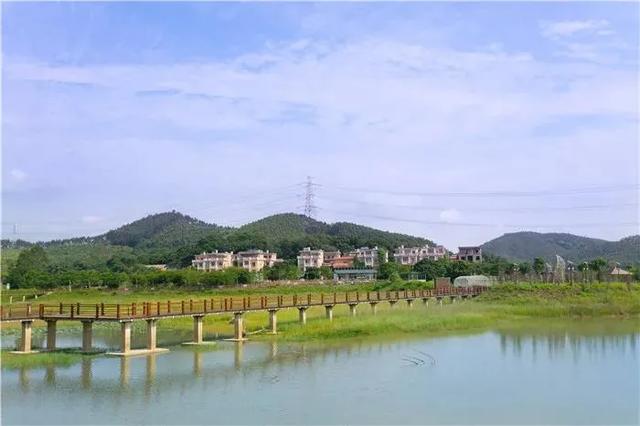 惠州博罗县十大旅游景点排名榜单(博罗这些地方入选旅游特色村)(32)