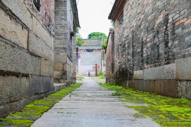 惠州博罗县十大旅游景点排名榜单(博罗这些地方入选旅游特色村)(18)